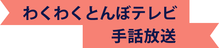 わくわくとんぼテレビ 手話放送