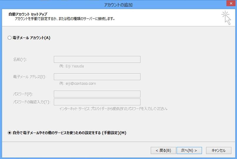 「自分で電子メールやその他のサービスを使う為の設定をする」にチェック