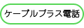 ケーブルプラス電話